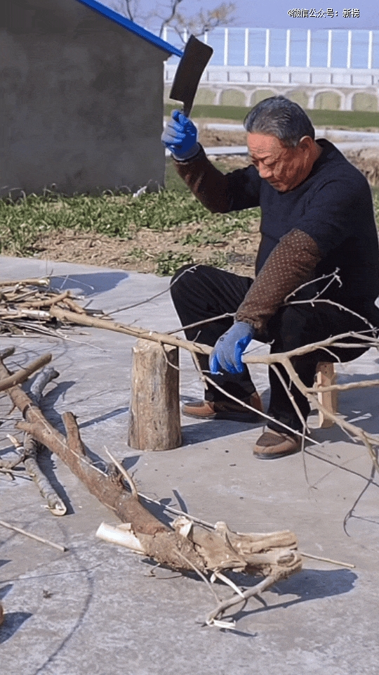 教几百万网友「磨洋工」走红，他的视频成了当代版《齐民要术》