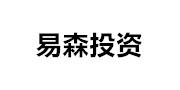 易森投资 LOGO