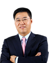 陈爽