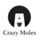 CrazyMoles疯狂鼹鼠 LOGO