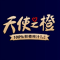 天使之橙 / 巨昂智能化科技LOGO