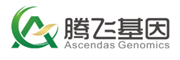 腾飞基因