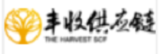 东方联合