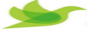 福州朴朴电子商务有限公司_LOGO