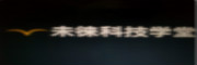 逸徕教育