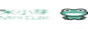 上海九穗农业科技有限公司_LOGO