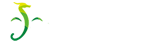 惟乐管理