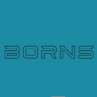 (瑞华控股) 投过项目(博恩思)