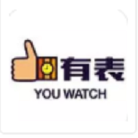 (KIP中国) 投过项目(有表	/ YOUWATCH)