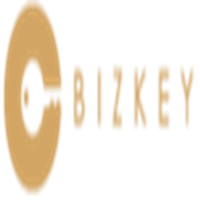 (比特大陆) 投过项目(Bizkey	)