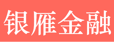 陕西银雁金融外包服务 LOGO
