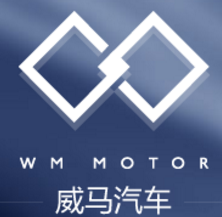 威马智慧_LOGO