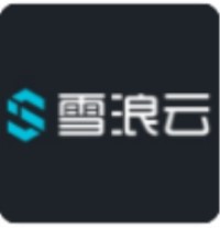 雪浪数 LOGO