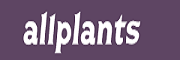 Allplants