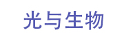 光与