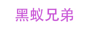 黑蚁兄弟_LOGO