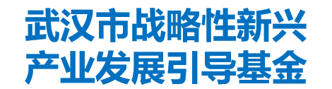 武汉市战略性新兴产业发展引导基金