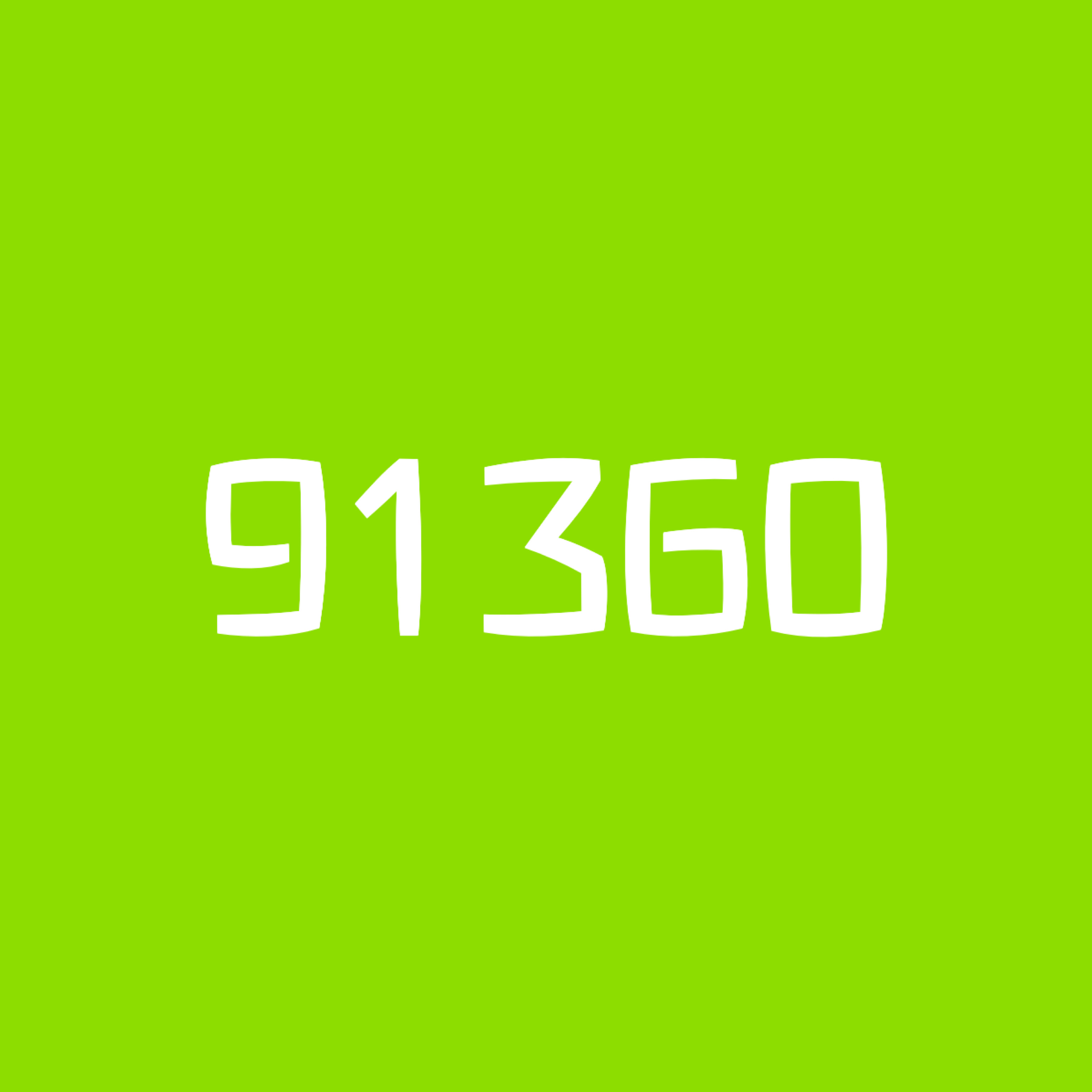 91360 LOGO