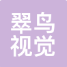 (清控银杏) 投过项目(翠鸟视觉)