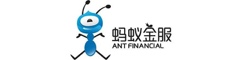蚂蚁金服（杭州）网络技术有限公司