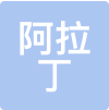 阿拉丁国际教育 LOGO