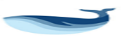 鲸鱼高校 LOGO