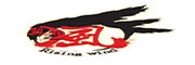 翼下之风_LOGO