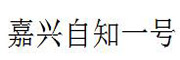 嘉兴自知一号_LOGO
