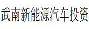 武南新能源汽车投资_LOGO