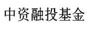 中资融投基金 LOGO