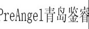 PreAngel青岛鉴睿_LOGO