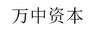 万中资本_LOGO