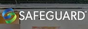 Safeguard Scientifics LOGO
