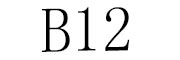 B12