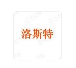 洛斯特网络 LOGO
