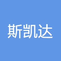 斯凯达 LOGO