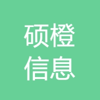 硕橙信息 LOGO