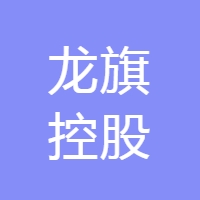 (FutureX Capital天际资本) 投过项目(龙旗控股)