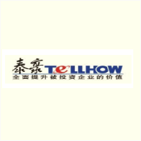 泰豪晟大投资 LOGO
