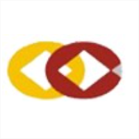 丰实资本 LOGO