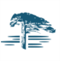 海松资本 LOGO