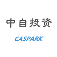 中自投资 LOGO