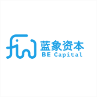 蓝象资本 LOGO