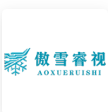 傲雪睿视 LOGO