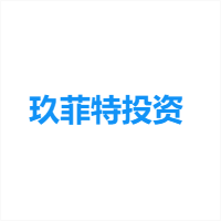 玖菲特投资