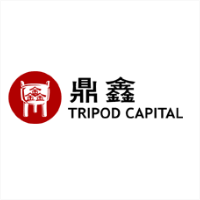 鼎鑫资本 LOGO