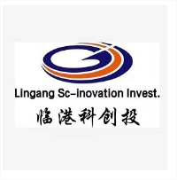 临港科创投