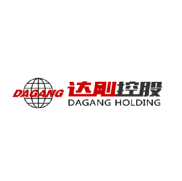 达刚控股 LOGO