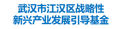 武汉市江汉区战略性新兴产业发展引导基金