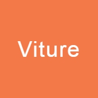Viture